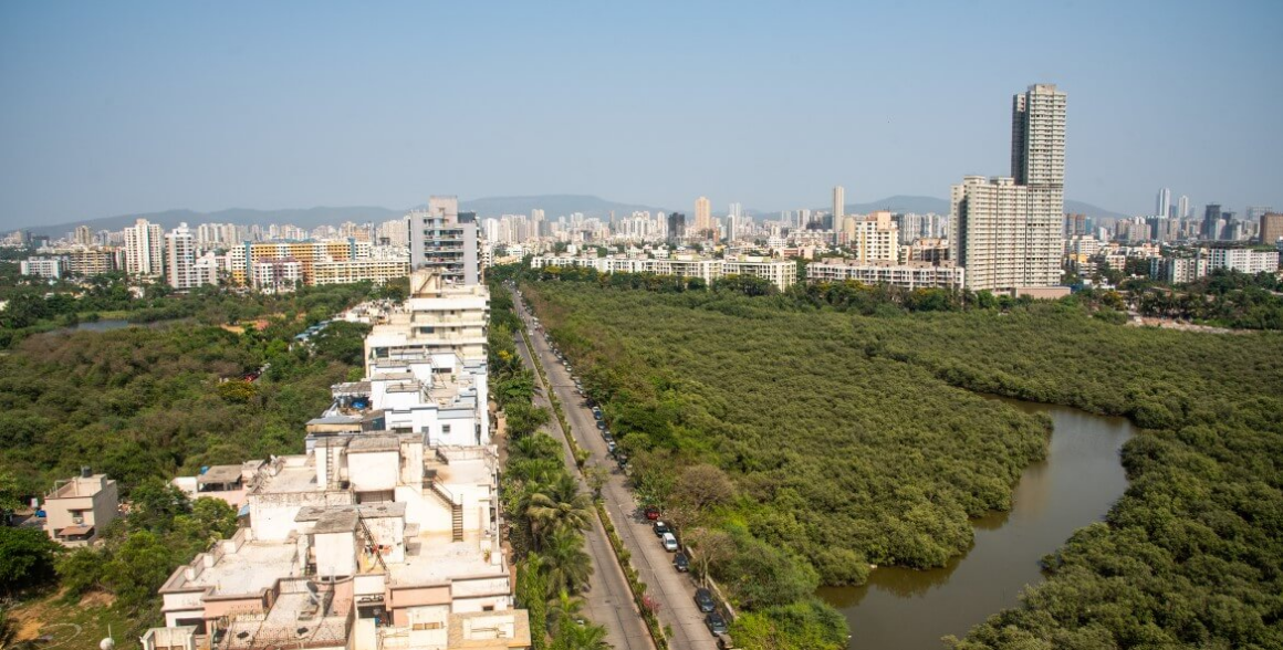 Pathways to Resilient Cities: The India Forum forNature-based Solutions