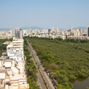 Pathways to Resilient Cities: The India Forum forNature-based Solutions