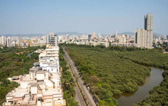 Pathways to Resilient Cities: The India Forum forNature-based Solutions